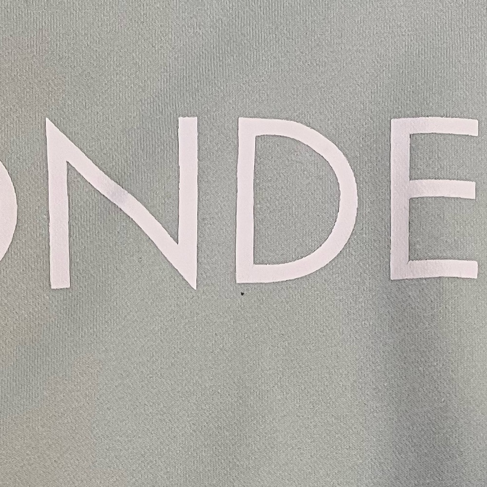 BRUNETTE the Label “BLONDE” Hoodie – S/M – Light Mint Green - Picture 8 of 8